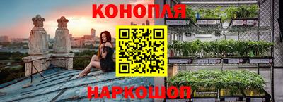 гашик Новокубанск