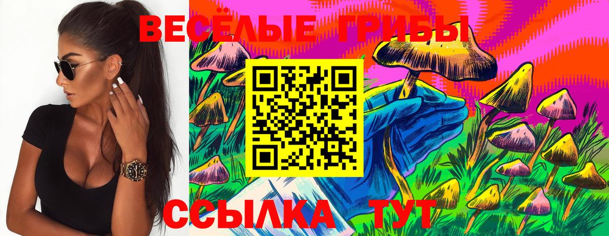 Галлюциногенные грибы мухоморы Усинск